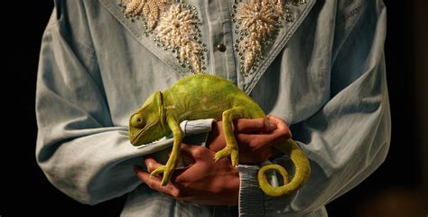 gucci chameleon|Paradoxical Creatures .